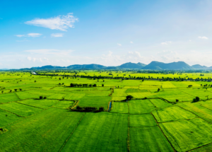 svg-developers-farm-lands-in-Hyderabad